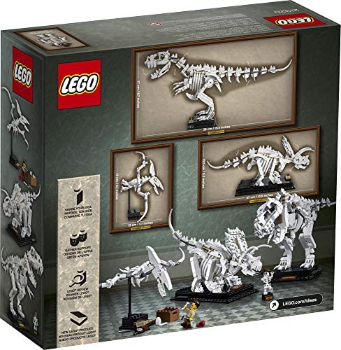 LEGO Ideas 21320 Dinosaur Fossils back box art