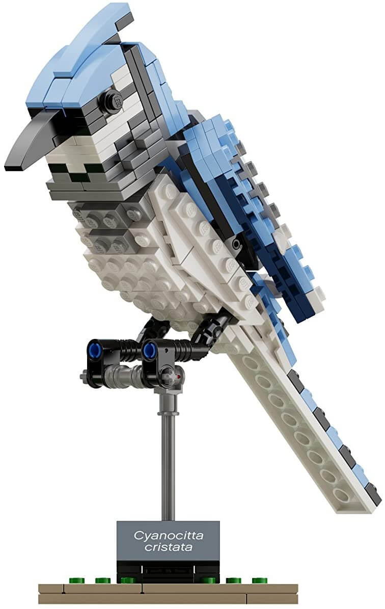 LEGO Ideas 21301 Birds