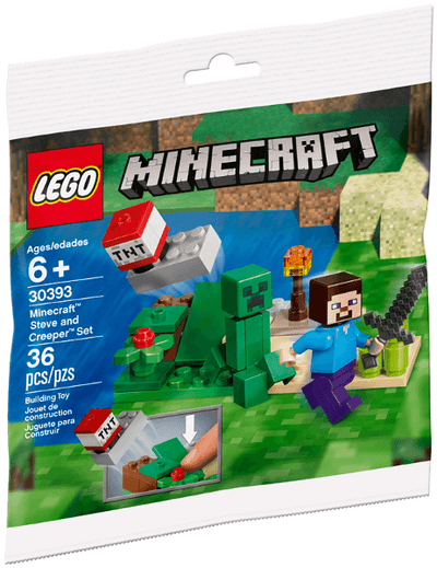 LEGO Minecraft 30393 Steve and Creeper Set