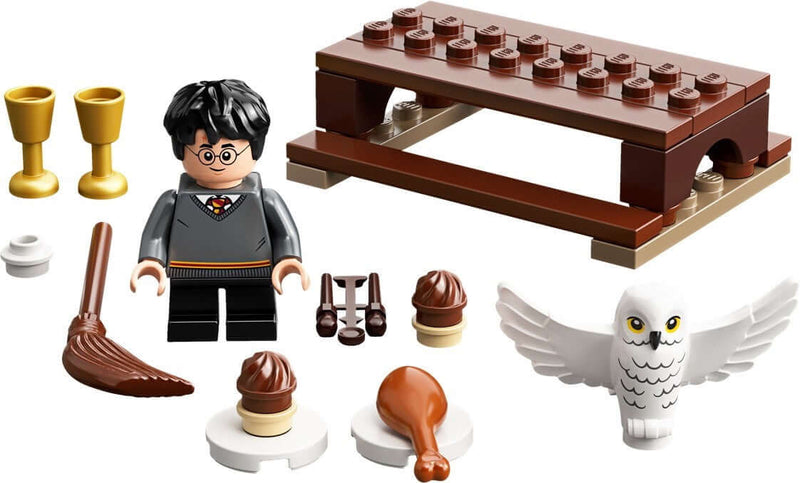 LEGO Harry Potter 30420 Harry Potter and Hedwig: Owl Delivery