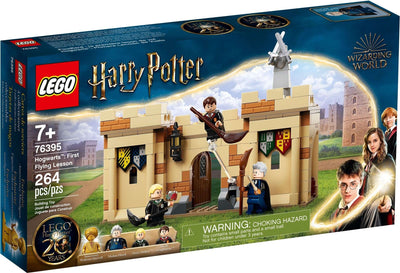 LEGO Harry Potter 76395 Hogwarts: First Flying Lesson front box art